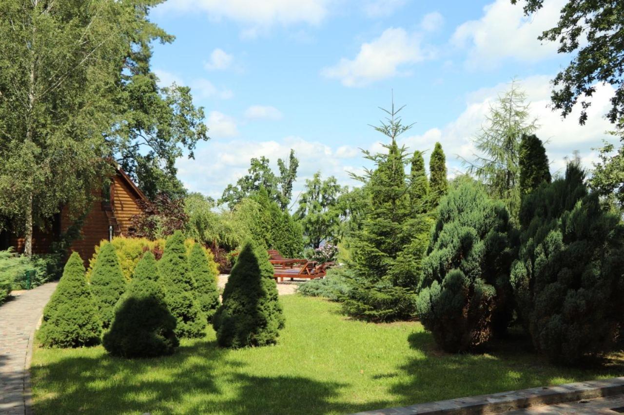 Villa Гостевой Комплекс "Дядя Саша" Sokirno Exterior foto
